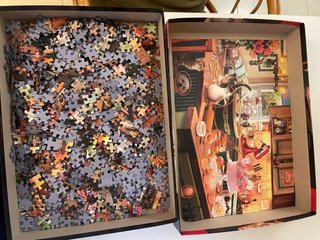 Puzzle Schmidt Secret Puzzle 1000 piezas