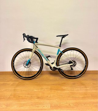 Bici Specialized Diverge Carbon Taglia 56