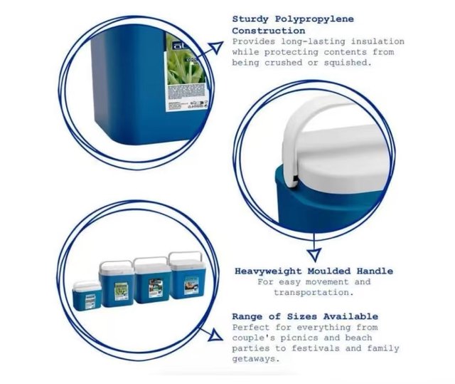 Frigorifero portatile 60L Blu e Bianco