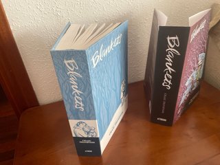 Blankets una novela gráfica de Craig Thompson