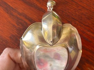 PEDRO DURAN ceniceros Cisne Plata Ley 925