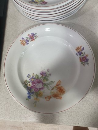 Schumann Arzberg Porcelana Alemana Floral.