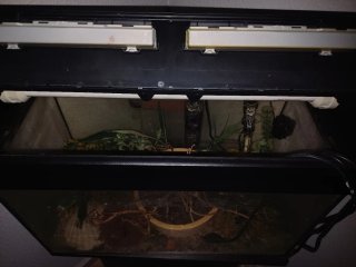 Acuario 50L con mueble completo