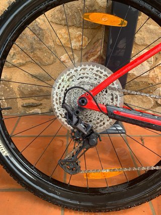 Bicicleta Trek Procaliber 6 2024