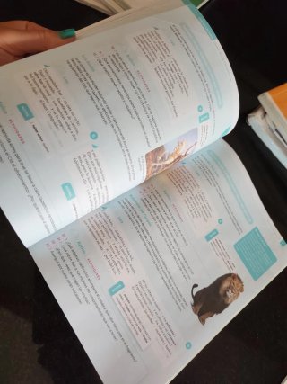Lengua castellana y Literatura 3º ESO