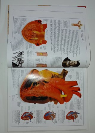 Nueva enciclopedia visual Clarín : cuerpo humano