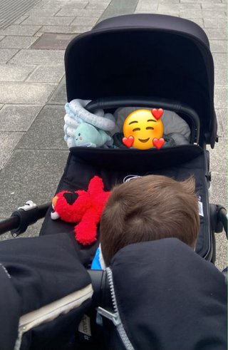 Bugaboo Fox Silla de Paseo