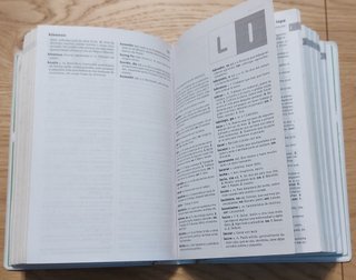 Diccionario español