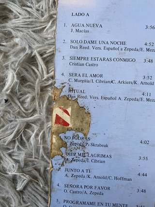 Cristian Castro - Agua Nueva LP
