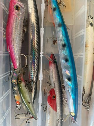 Lotto Minnow Esche da Pesca