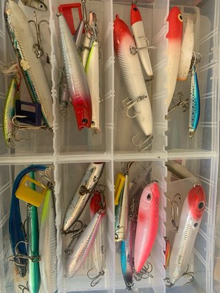 Lotto Minnow Esche da Pesca