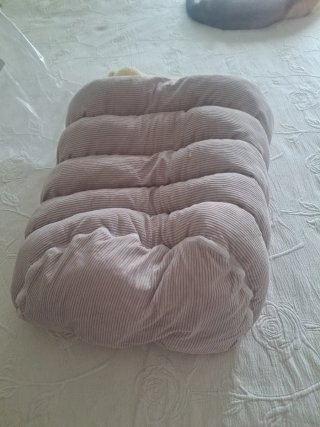 Cama para gato beige