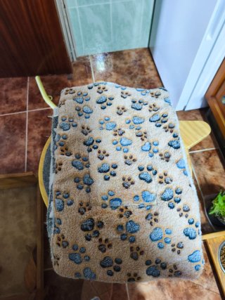 Camas para gatos mullidas