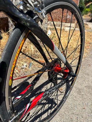 Bicicleta Goka Special Edition Carbono
