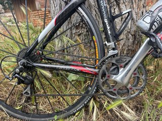 Bicicleta Goka Special Edition Carbono