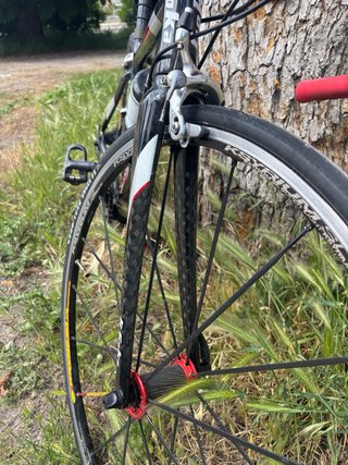 Bicicleta Goka Special Edition Carbono