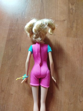 Barbie Entrenadora de Delfines