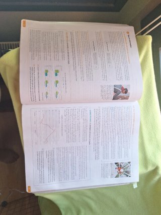 1 Bachillerato, Economía Revuela