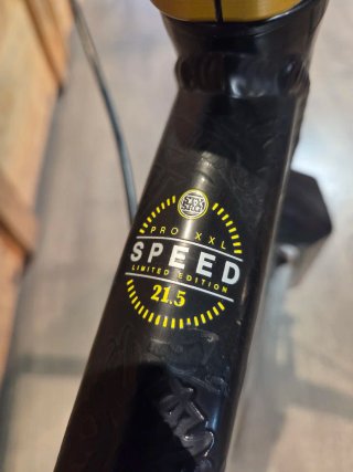 BMX GT Stay Strong