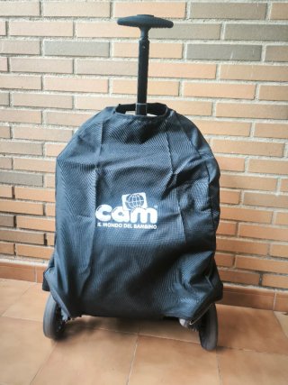 Silla de paseo CAM COMPASS