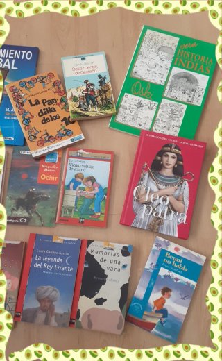 Lote lectura infantil 10/12 años