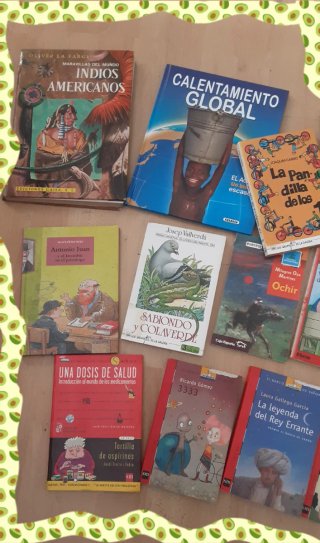 Lote lectura infantil 10/12 años