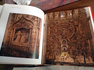 El Gótico arquitectura, escultura, pintura