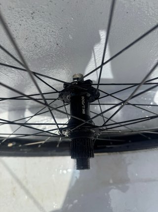 29 ruote Alexrims MD35 + mozzi Bontrager E-MTB