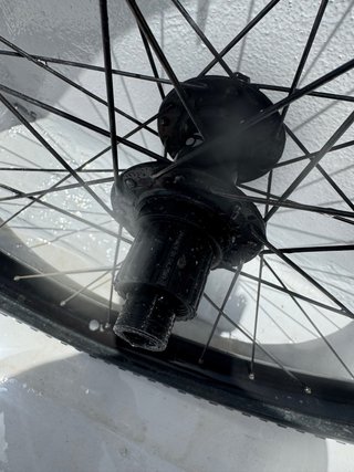 29 ruote Alexrims MD35 + mozzi Bontrager E-MTB