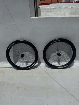 29 ruote Alexrims MD35 + mozzi Bontrager E-MTB