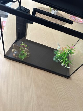 Acuario Negro y Transparente