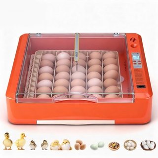 Incubadora de huevos de 36 huevos, girador automát