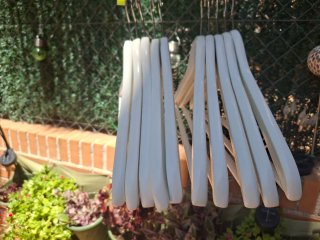 Lote 10 Perchas Madera Blancas
