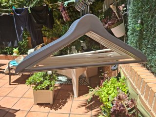 Lote 10 Perchas Madera Blancas