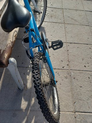 Bicicleta 20 pulgadas.