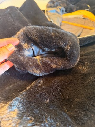 Chaqueta Zara pelo sintético con capucha NUEVA