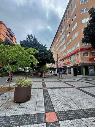 Piso en alquiler en Alcaravaneras en Palmas de Gran Canaria(Las)