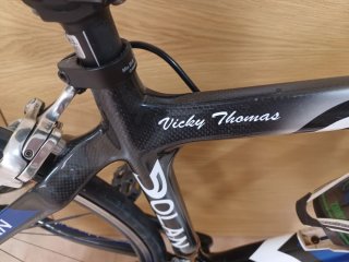 Bicicleta Carretera Carbono Terry Dolan Pro