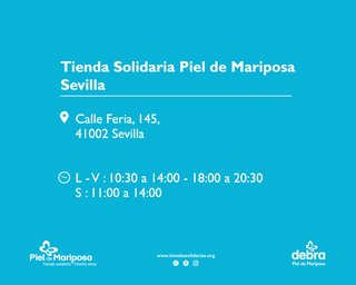 Libros y novelas económicas y baratas Sevilla