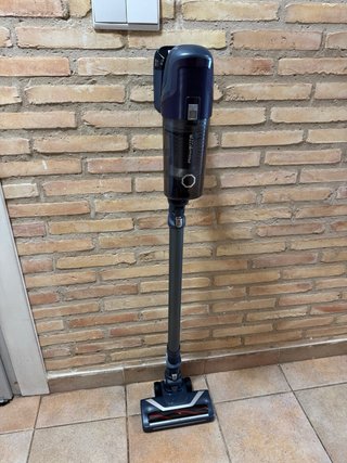 Rowenta Xpert 6.60 Aspiradora Escoba