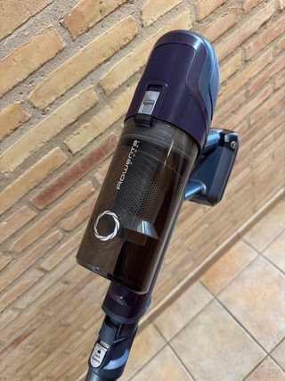Rowenta Xpert 6.60 Aspiradora Escoba