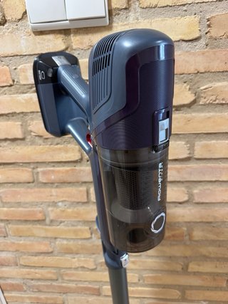 Rowenta Xpert 6.60 Aspiradora Escoba