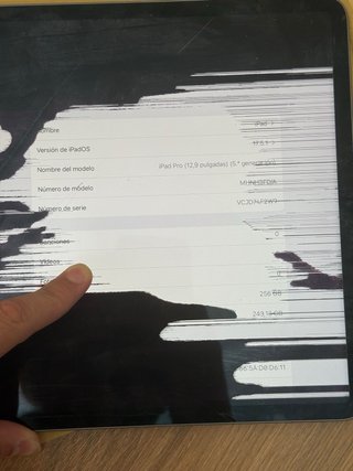 iPad Pro 12.9 5ª Gen M1 8/256GB Spg Pant. Rota