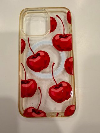 Cover iPhone 15 Pro Max