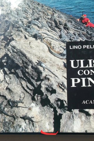ULISSE CON LE PINNE - LINO PELLEGRINI