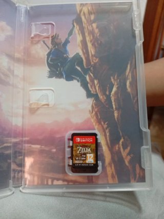 The Legend of Zelda: Breath of the Wild Switch