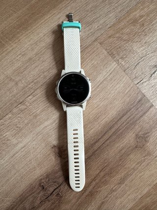 Garmin Fenix 5S Plata/Blanco