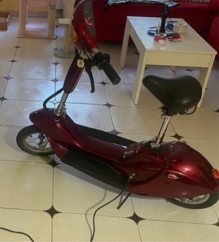 Patinete eléctrico con cargador,batería gastada