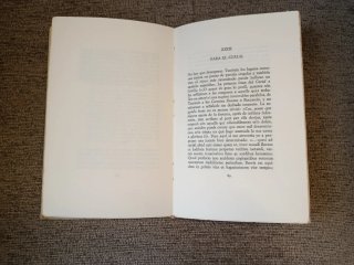 Primera cuarentena y tratado general de literatura