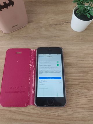 iPhone 5S + Cover in regalo